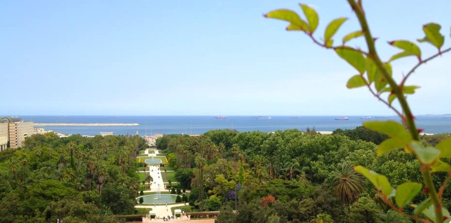 jardin-d-essai-du-hamma-algerie